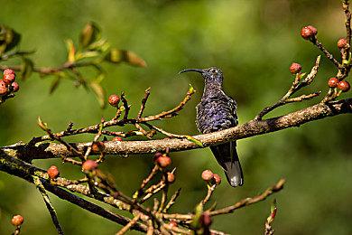前育碧高管加入亚马逊游戏部门 负责全新高成本大作